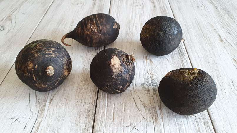 Ridichea - zázračný lék