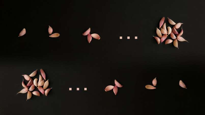 Celý česnek ráno na lačno